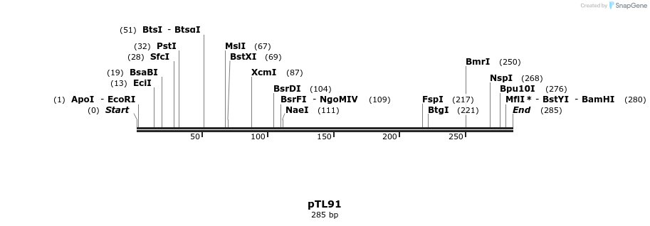 326425_map