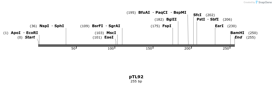 326426_map