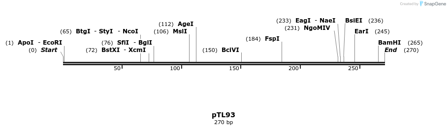 326427_map