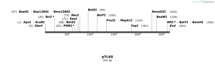 326429_map