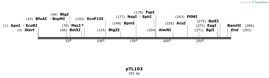 326437_map