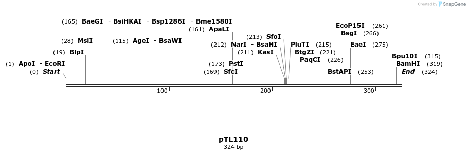 326444_map