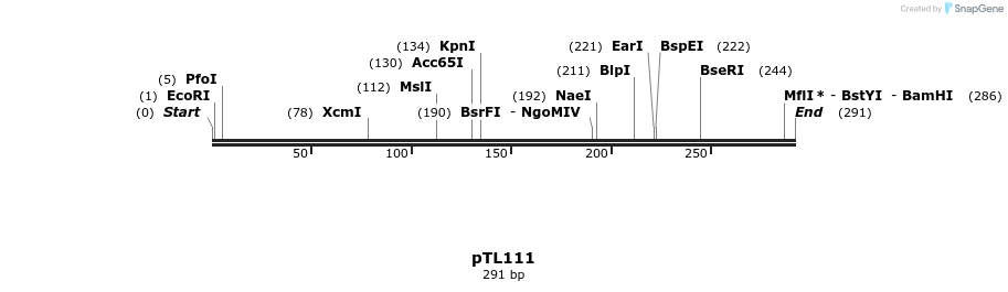 326445_map