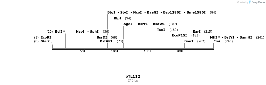 326446_map