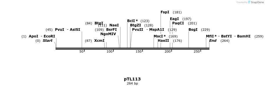 326447_map
