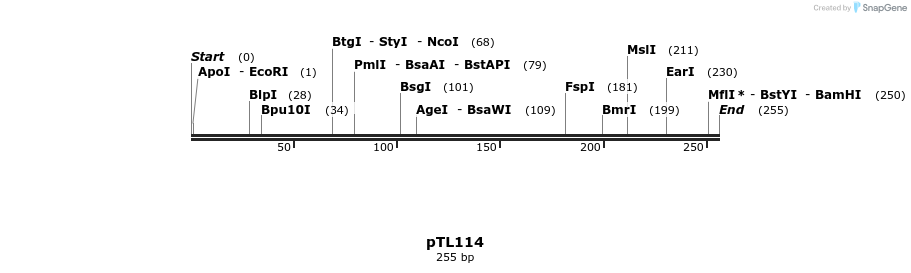 326448_map