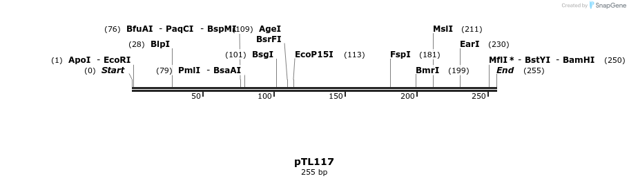 326451_map