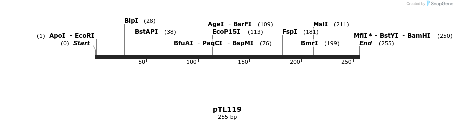 326453_map
