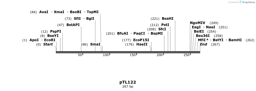 326456_map