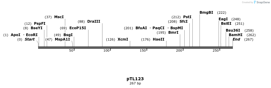 326457_map