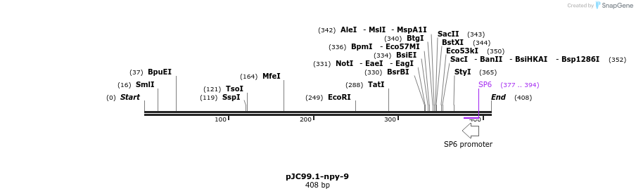 32646_map