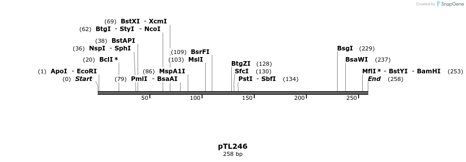 326462_map