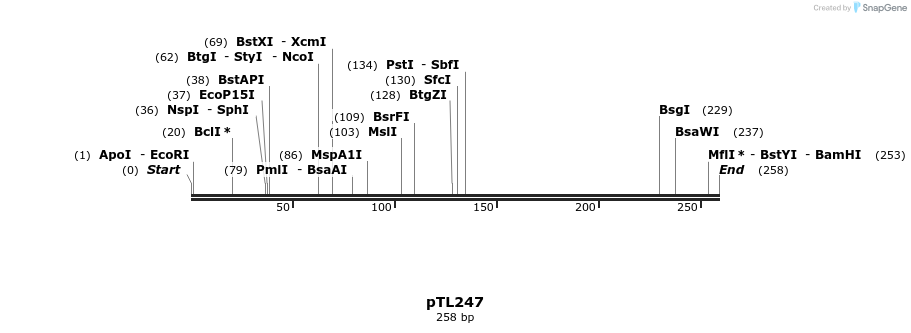 326463_map