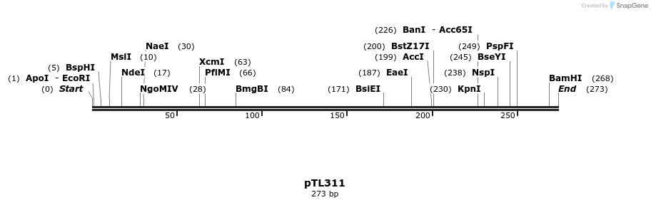 326472_map