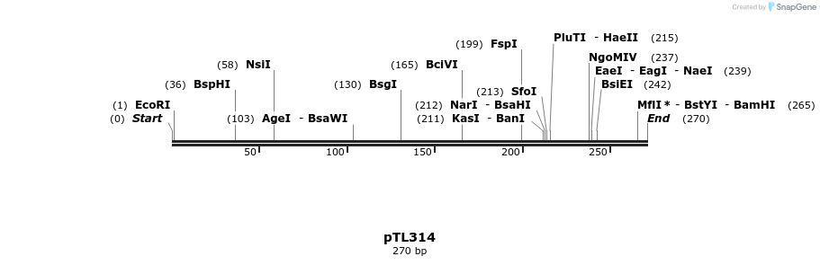 326475_map