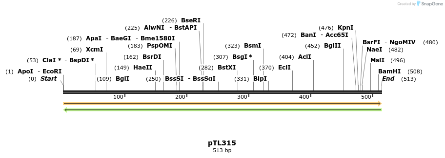 326476_map