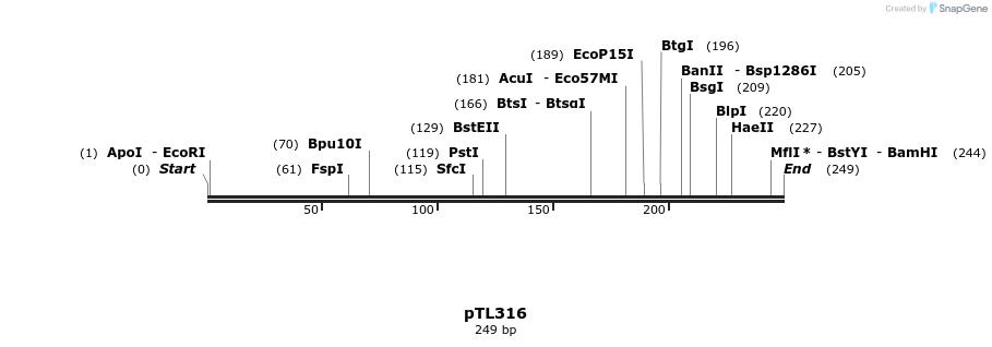 326477_map