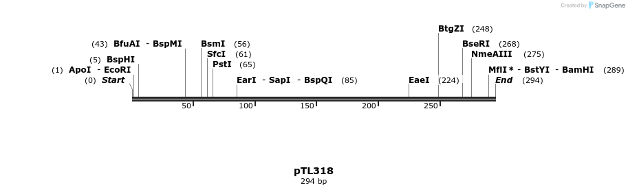 326479_map