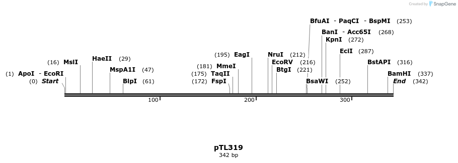 326480_map