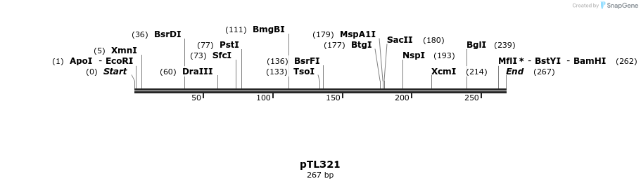 326482_map