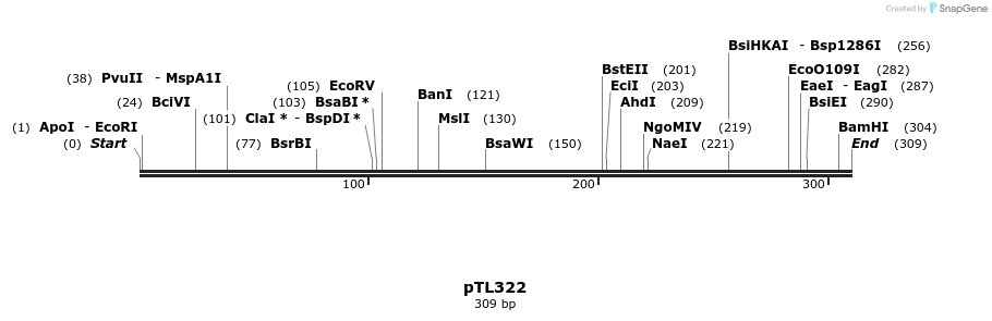 326483_map