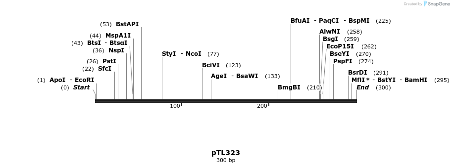326484_map
