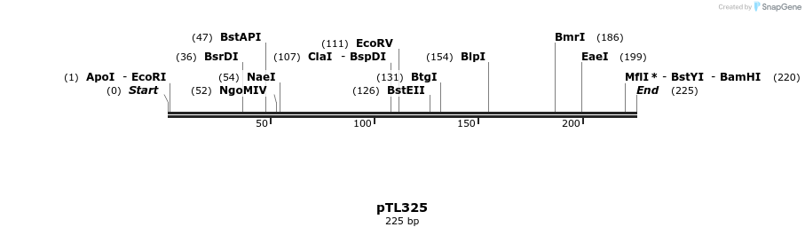 326486_map