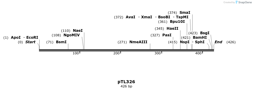 326487_map