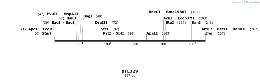 326490_map