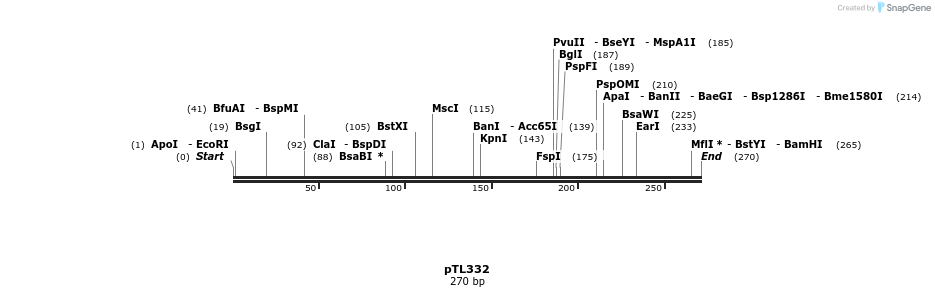 326493_map