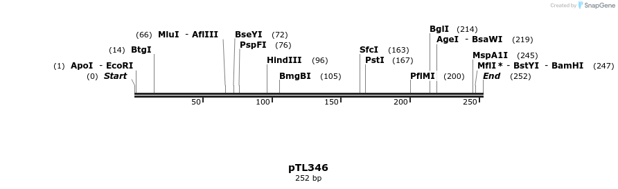 326507_map