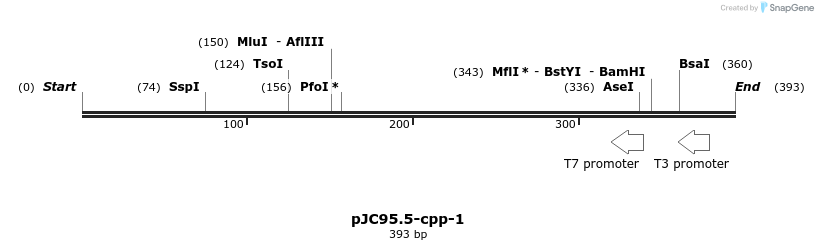 32651_map