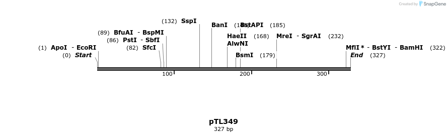 326510_map