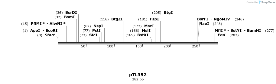 326513_map