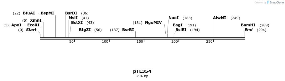 326515_map