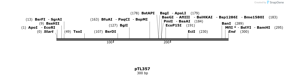 326518_map
