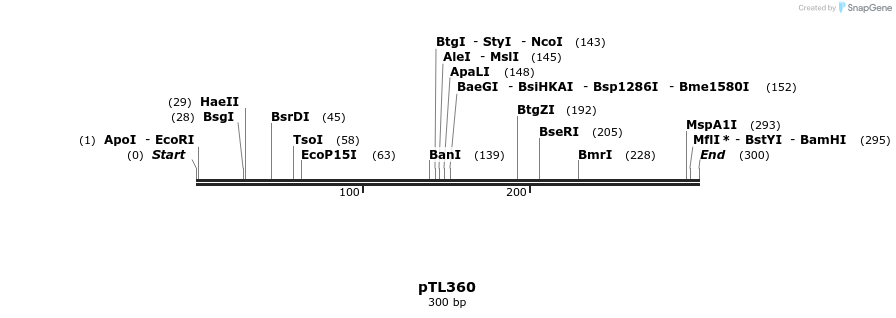 326521_map