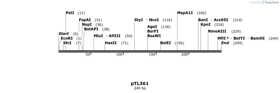 326522_map