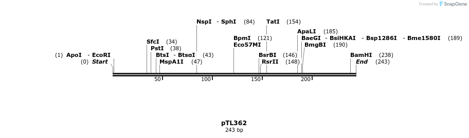 326523_map