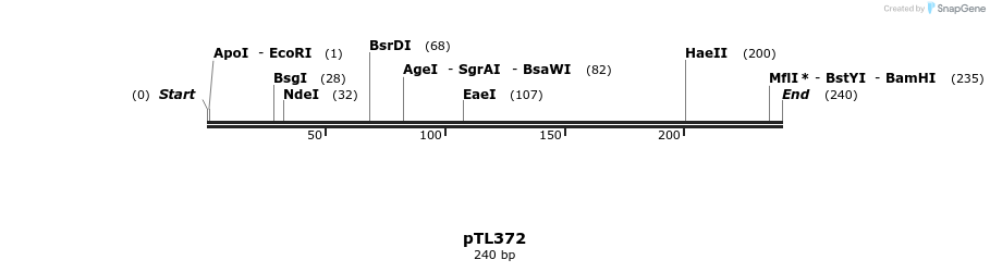 326533_map