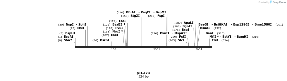 326534_map