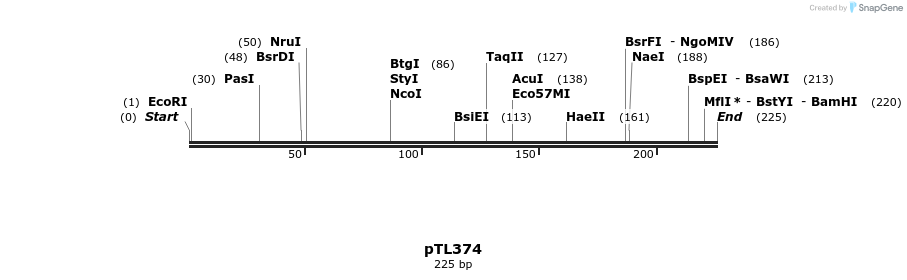 326535_map