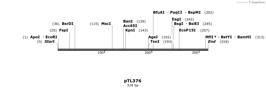 326537_map