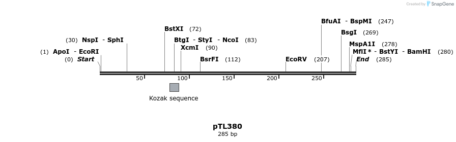 326541_map