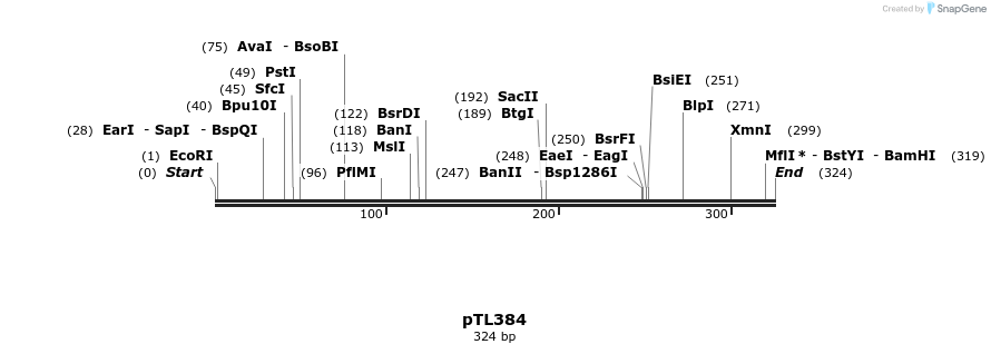 326545_map
