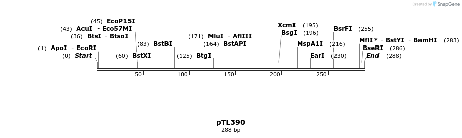 326551_map
