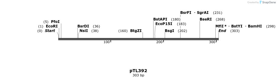 326553_map
