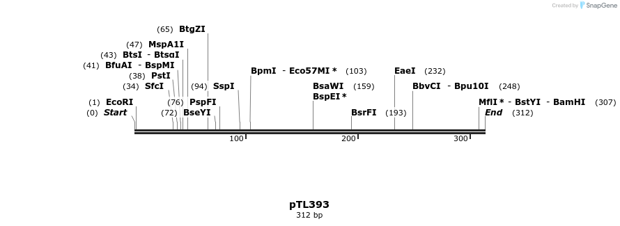 326554_map