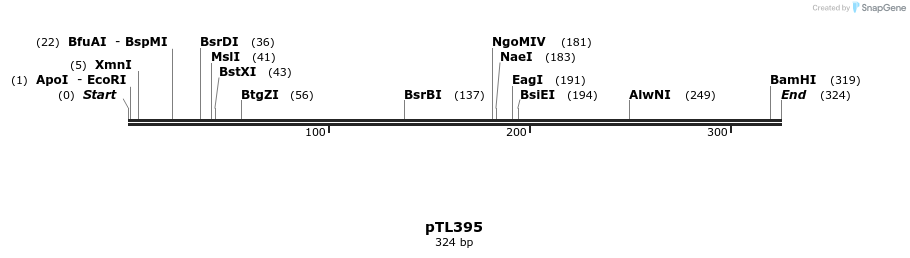 326556_map