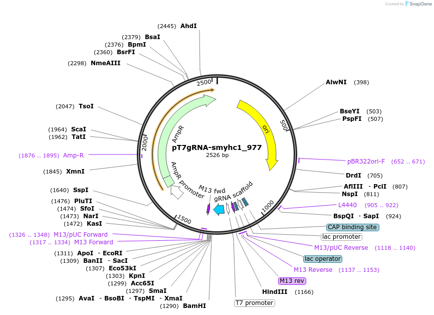 326579_map